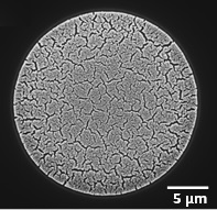 Nanoporous gold microelectrode for sensing